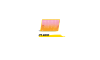 VOBBLER 2.4